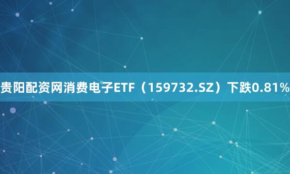 贵阳配资网消费电子ETF（159732.SZ）下跌0.81%